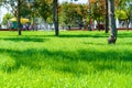 City park on a summer day, green lawns with grass and trees, paths and benches, people walking and children playing, bright