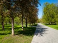 City park at summer time with morning light and long shadows. Parking area with a trees, bench and pathway