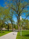 City park at summer time with morning light and long shadows. Parking area with a trees, bench and pathway