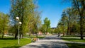 City park at summer time with morning light and long shadows. Parking area with a trees, bench and pathway