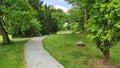 In the city park, there is a small pebble walkway among the oaks and spruces. In the spring, the grass grows and the young leaves