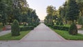 In the city park, tile paths are laid among trees and grassy lawns with ornamental shrubs. On the sides of the paths are poles wit Royalty Free Stock Photo