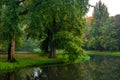 City park, trees reflection on the pond water, autumn. Rotterdam, Netherlands