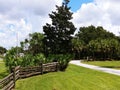 Wooden rail fence witha tall pine tree under a bright blue sunny sky with white fluffy clouds in a city park Royalty Free Stock Photo