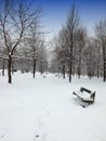 City park under fresh snow