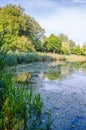 City park in the warm and sunny day during the autumn season. Landscape fulfilled of sunlight Royalty Free Stock Photo