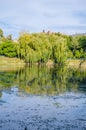 City park in the warm and sunny day during the autumn season. Landscape fulfilled of sunlight Royalty Free Stock Photo