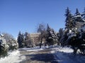 City park in winter in bright sunshine. Sun exposure, long shadows, snow, Christmas tree branches under the snow, frost Royalty Free Stock Photo