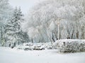 City park in the winter Royalty Free Stock Photo