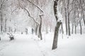 City park in winter. Walkway and benches covered with snow. Town recreation area after snowfall. Winter weather forecast. Heavy