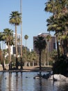 City of Phoenix Downtown Buildings