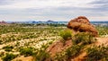 The city of Phoenix in the valley of the Sun seen from the Red Sandstone Buttes in Papago Park