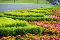 City photo, Flowerbeds in the city, in the background motorway with cars, Russia Naberezhnye Chelny 18,08,2018g