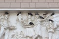 City pigeons dirtied facade, a monument of architecture. Royalty Free Stock Photo