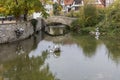 city pond in Paderborn with trees Royalty Free Stock Photo