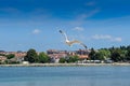 The city of Porec Croatia panorama of the coast seagul