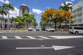 City of Port Louis, Mauritius. One of the busy roads of the city centre with a Flamboyant tree in the foreground
