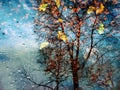 City  Rainy reflection Autumn Season  yellow leaves   tree  blue sky    water reflection  Rainy Street yellow  leaves  clouds  bl Royalty Free Stock Photo