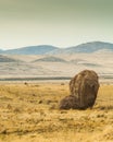 City of Rocks New Mexico Royalty Free Stock Photo