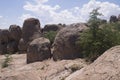 City of Rocks State park, Grant county New Mexico. Royalty Free Stock Photo