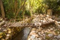 City ruins Olimpos bridge through a stream Royalty Free Stock Photo