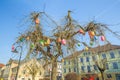 Old city center and eggs tree at Latvia.