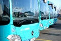 city shuttle buses rank at Frankfurt bus station in Germany, green vehicle public transport concept, transport companies strike, Royalty Free Stock Photo