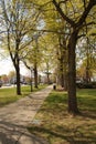 city sidewalk along park (Elm Park Worcester Ma in springtime) Royalty Free Stock Photo