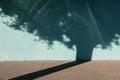 Shadow of tree on turquoise building Royalty Free Stock Photo