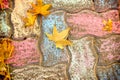 Fallen autumn leaves on the city sidewalk, pedestrian zone in autumn