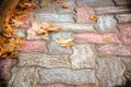 City sidewalk, pedestrian zone in autumn - fallen autumn leaves