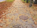 City sidewalks are full of dry leaves and other debris with the onset of autumn Royalty Free Stock Photo