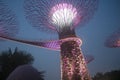 A night view of colorful super tree at garden by the bay