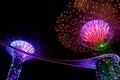 A night view of colorful super tree at garden by the bay