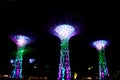 A night view of colorful super tree at garden by the bay