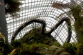 A view of cloud mountain inside garden by the bay