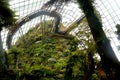 A view of cloud mountain inside garden by the bay