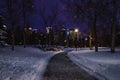 City Skyline View From A Winter Park At Night Royalty Free Stock Photo