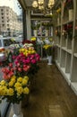 City small shop with beautiful live bouquets of bright roses in white flower pots at the window