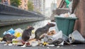 City Spirits: Rats and their Urban Existence