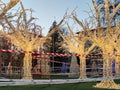 The city square decorated with New Year`s illumination is fenced with a prohibition tape