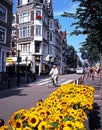 City Street, Amsterdam. Royalty Free Stock Photo