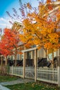 City street with autumn yellow, orange and red trees. Bright colorful view of fall foliage in a town. Autumn scene Royalty Free Stock Photo