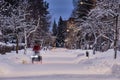 City street in winter, snow-covered trees, cyclist in motion.