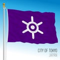 City of Tokio pennant flag, Japan, Asia