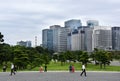 Tokyo, skyscrapers and green nature