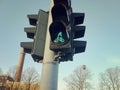 City traffic light