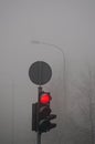 City traffic lights in spring morning dark fog