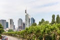 City view (Eurotower, Taunusturm, Main Tower...) from Schaumainkai Street, Frankfurt am Main, Germany