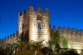 City Wall of Lazise Royalty Free Stock Photo